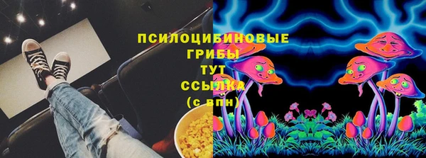 СК Алзамай