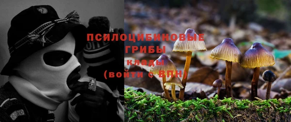 СК Алзамай