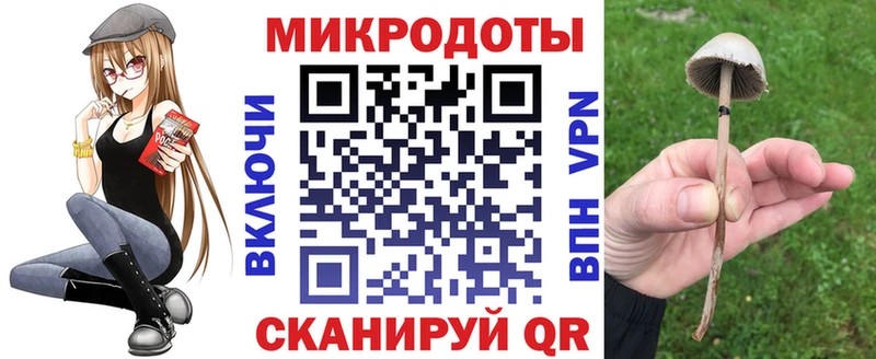 Псилоцибиновые грибы прущие грибы  Чегем 
